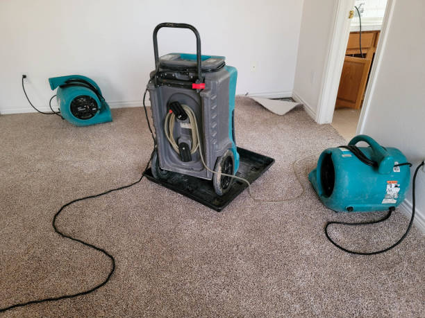 Best Residential water damage restoration  in Central City, PA