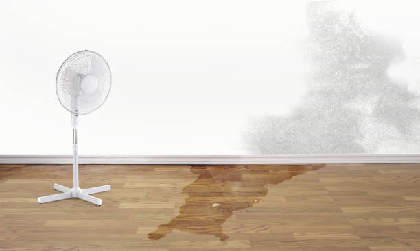 Best Water damage restoration specialists  in Central City, PA